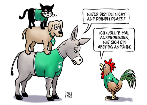 Werder Abstieg